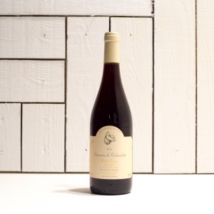 Domaine de Colombette Pinot Noir 2020 - £9.95 - Experience Wine