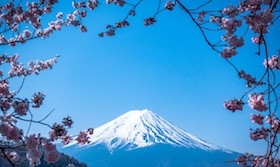 japanese wine